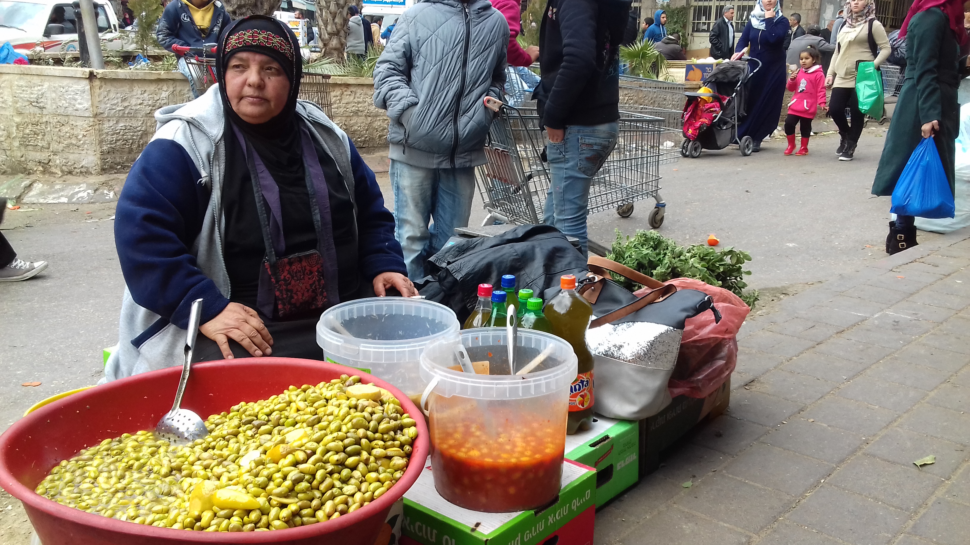 "أم جلال" زيتونة فلسطينية بعمر الأرض
